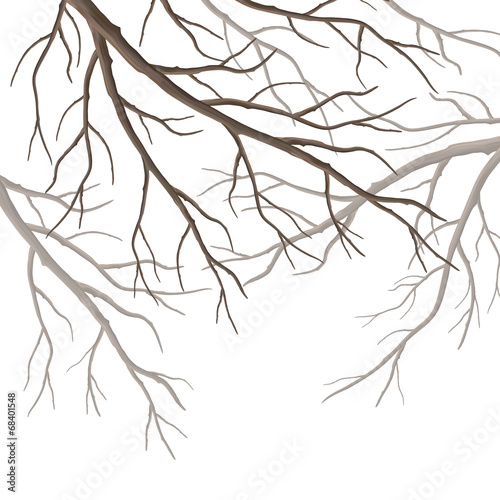 Vector Tree Branches