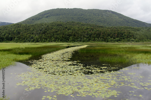 Cerknica Lake