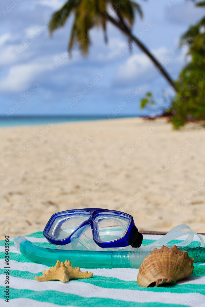Seashells and diving mask on tropical beach Seashells and diving mask on tropical beach