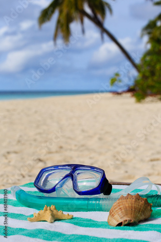 Seashells and diving mask on tropical beach