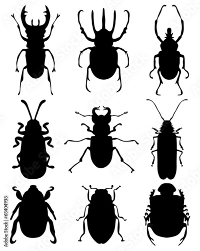 Black silhouettes of bugs, vector