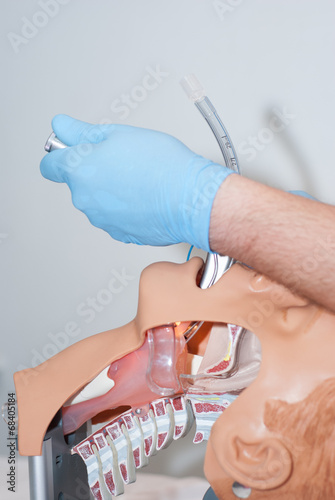 przekrój - intubacja 4