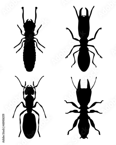 Black silhouettes of termites, vector