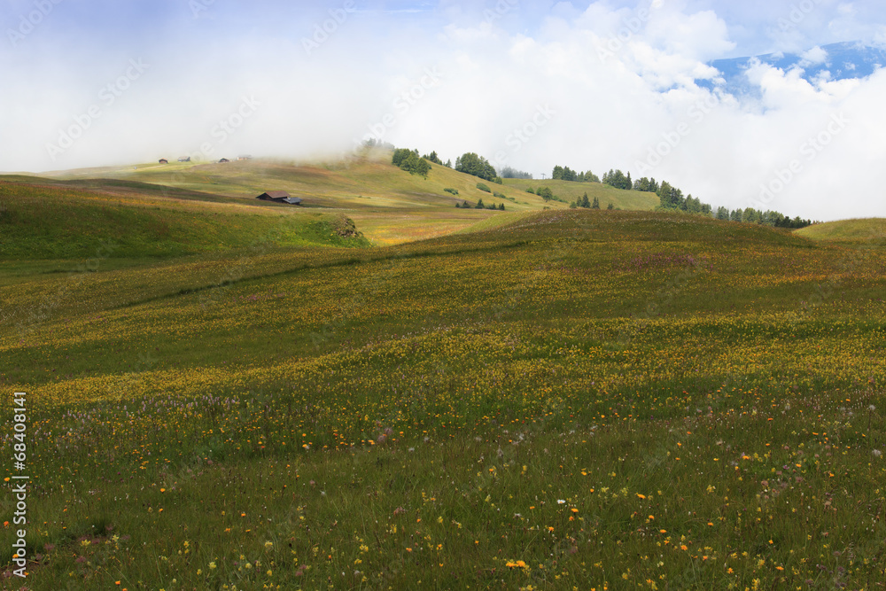 Fototapeta premium Alpe di Siusi