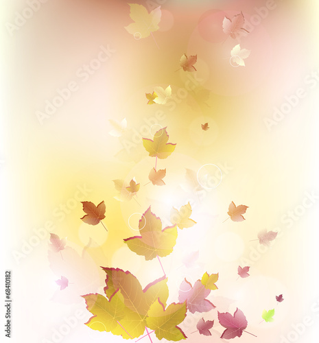 Beautiful leaves background