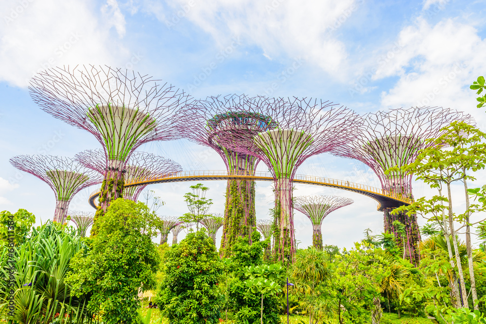 Fototapeta premium Garden by the bay