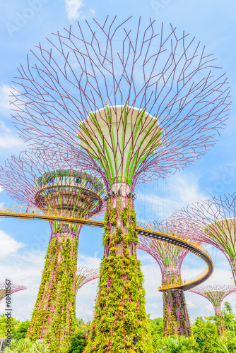 Garden by the bay
