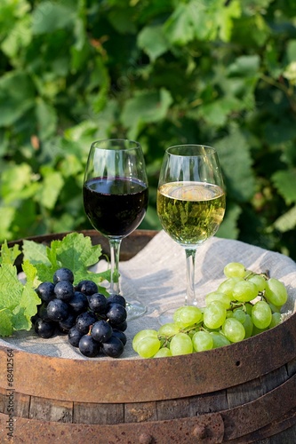 Red and white wine with grapes in nature