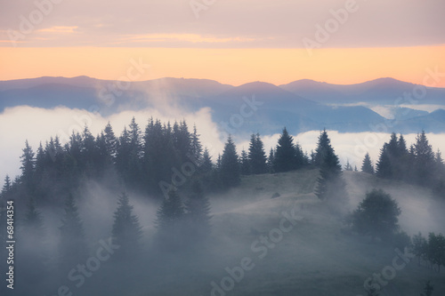 Foggy mountain morning © Nickolay Khoroshkov