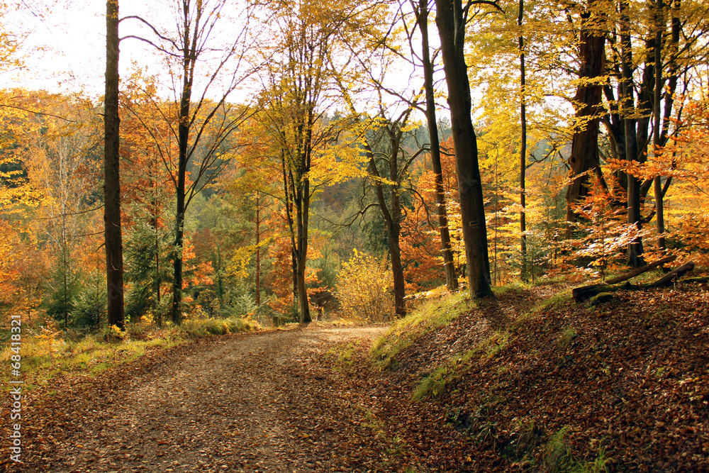 Obraz premium Herbst