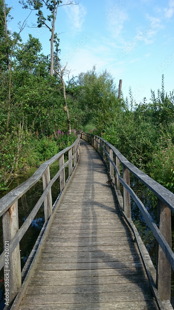 Pont en bois