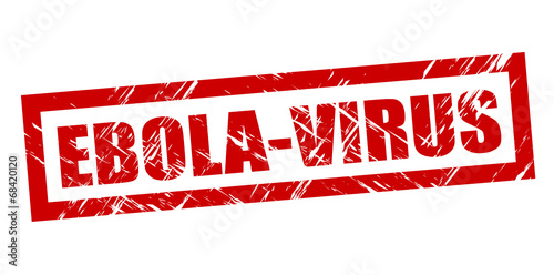 Ebola-Virus