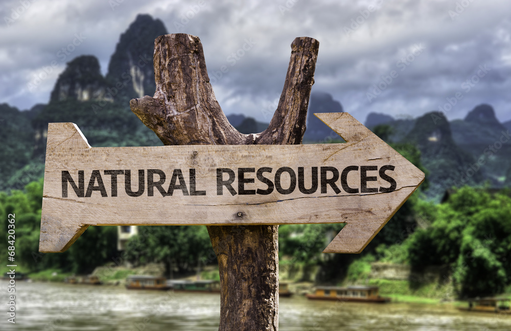 Natural Resources wooden sign with a forest background