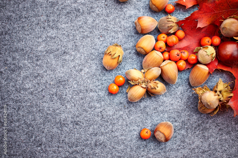 Obraz premium Nuts and berrys on grey autumn background