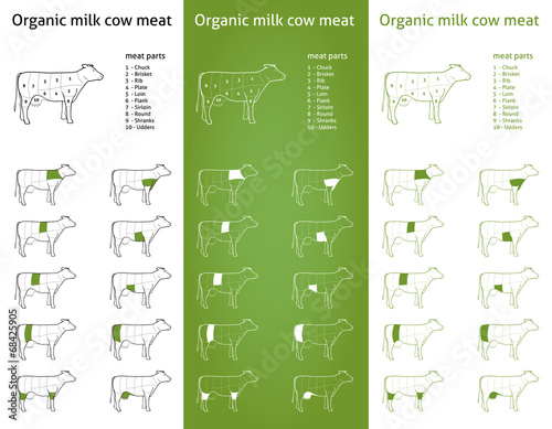Organic  milk cow meat parts Icons for packaging and info-graphi