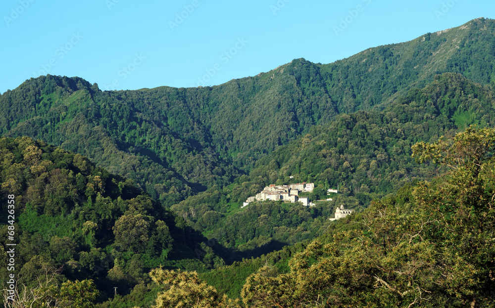 châtaigneraie et village Corse
