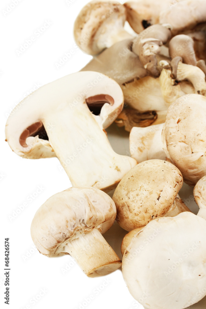 Fresh mushrooms isolated on white Fresh mushrooms isolated on white