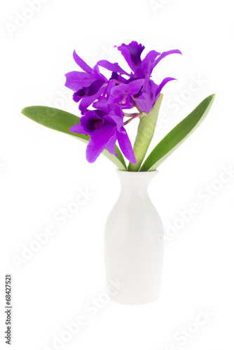 Beautiful purple orchid and ceramic vase  isolated on white back