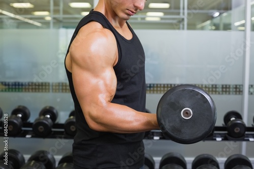 Muscular man exercising with dumbbell in gym