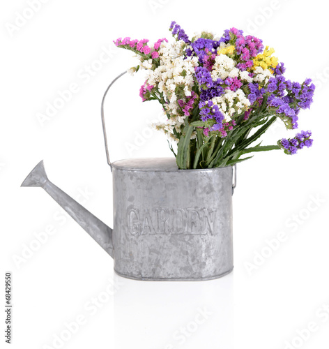 Beautiful bouquet of bright flowers in watering can isolated