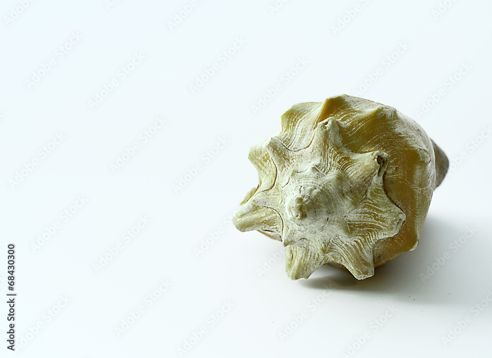 Spa salon towel shell. Spa salon towel shell.