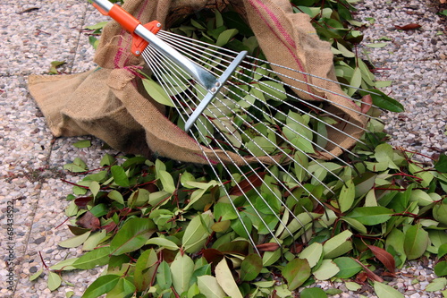 giardinaggio photo