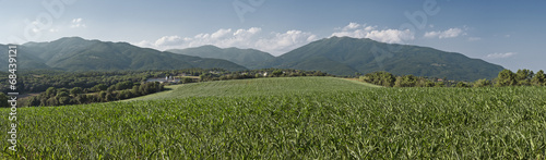 Corn and mountains