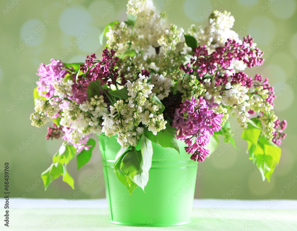 Beautiful lilac flowers in vase, Beautiful lilac flowers in vase,