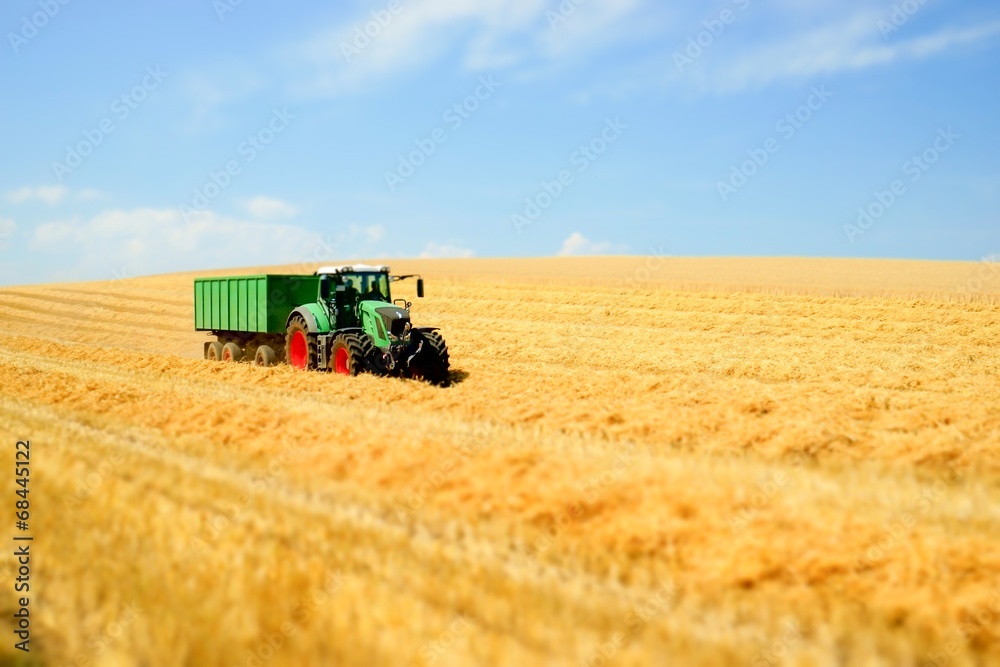 Naklejka premium Getreideernte, Abtransport mit Schlepper und Anhänger