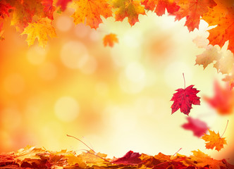 Autumn background with wooden planks
