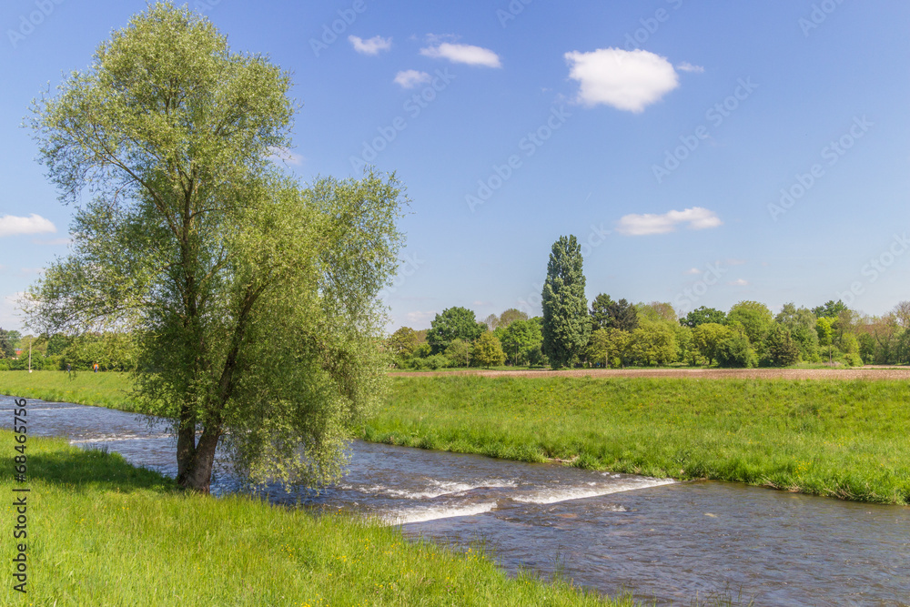 Along Dreisam River