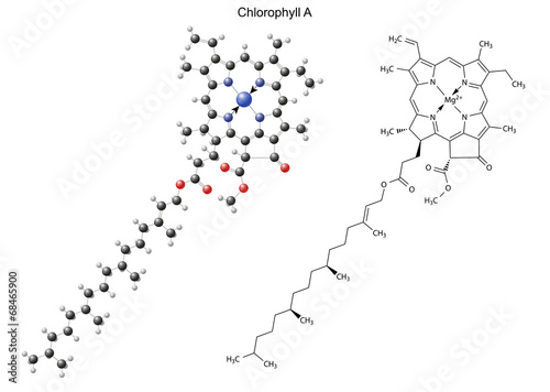 Structural chemical formula and model of chlorophyll A photo