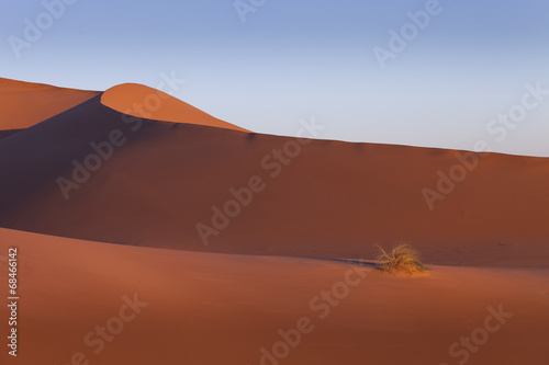 Moroccan desert dune background. Blue sky