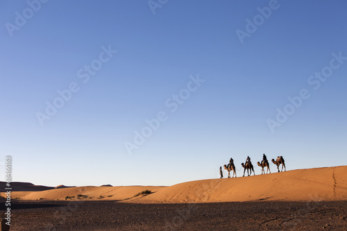 Desert, Camel Ride, Enjoying and Happy People © danmir12