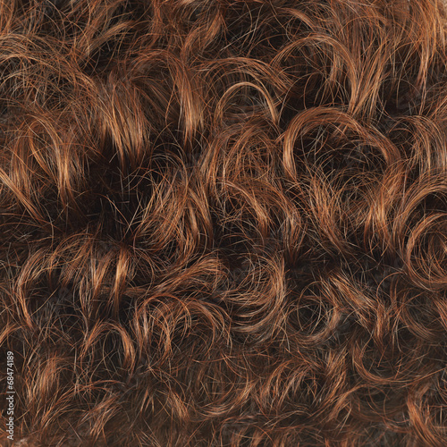 Obraz na plátně Hair fragment as a background composition