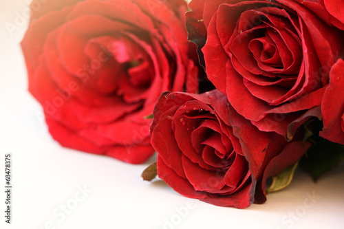 Red roses bouquet isolated on white background