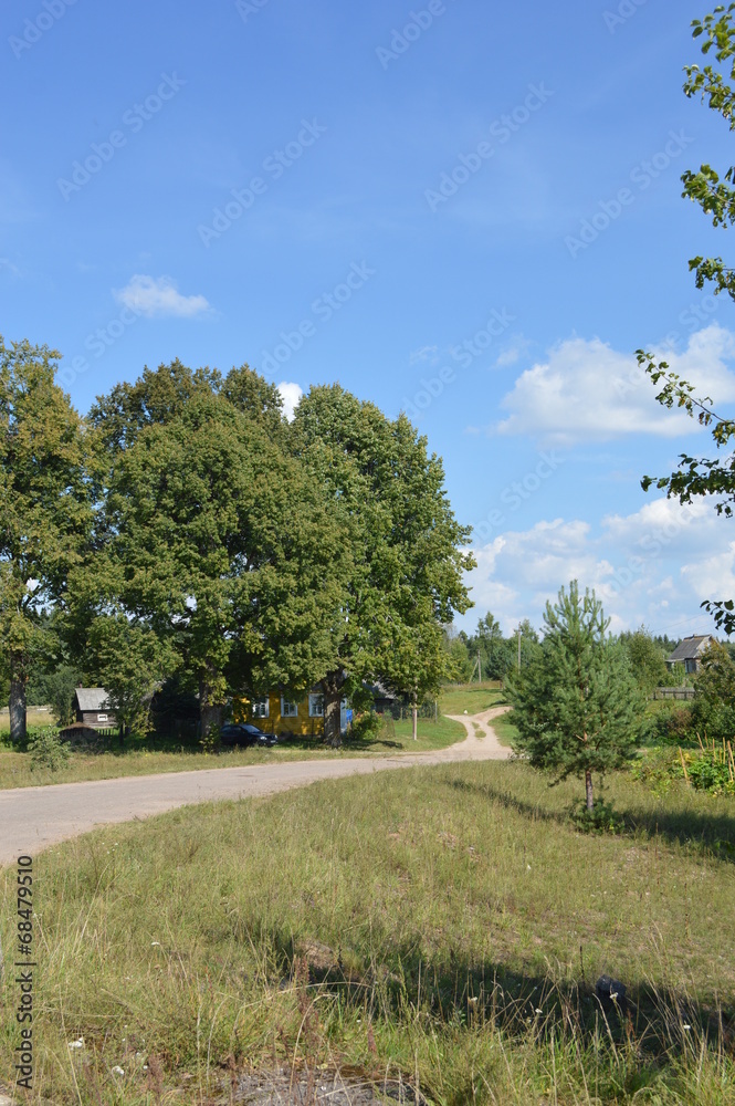 Fototapeta premium Тухомичи