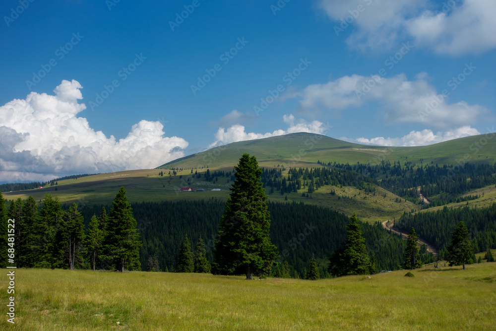 Romanian Landscape