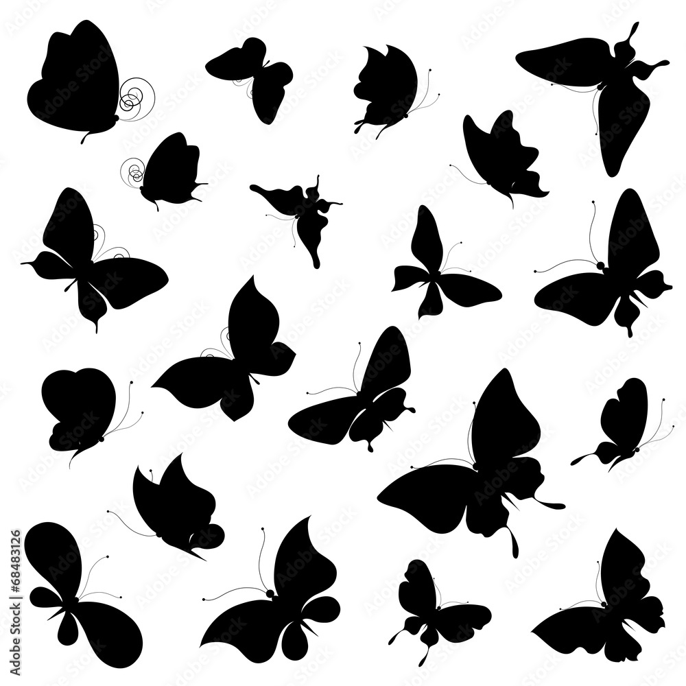 Fototapeta premium butterflies design