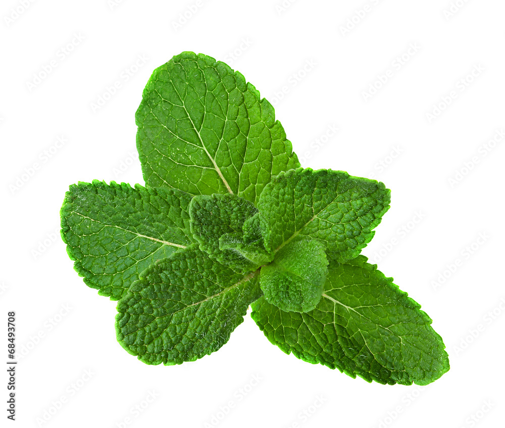 Fresh raw mint leaves isolated on white background Fresh raw mint leaves isolated on white background