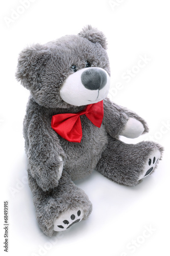 Gray teddy bear on a white background