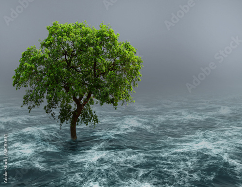 Tree in water.