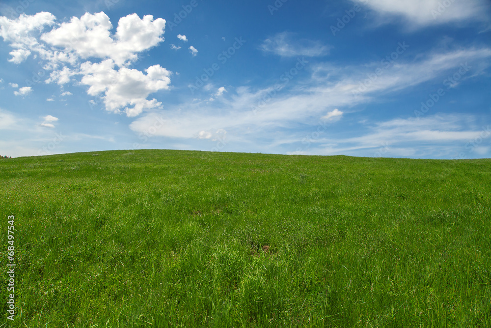 Field, blue sky and clouds Field, blue sky and clouds
