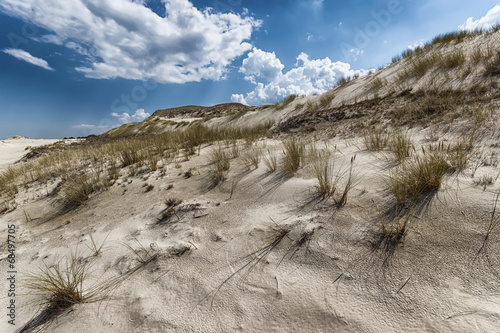 Moving dunes on the Baltic Sea in Poland