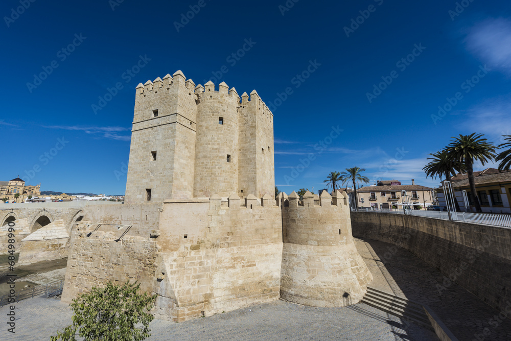 Calahorra Tower in Cordoba, Andalusia, Spain. Calahorra Tower in Cordoba, Andalusia, Spain.