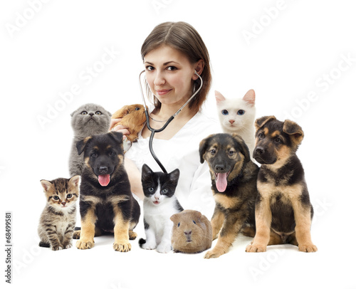 vet and a group of pets © Happy monkey
