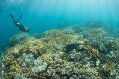 Diver and Shallow Reef © ead72