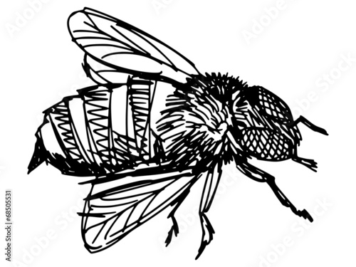 working bee