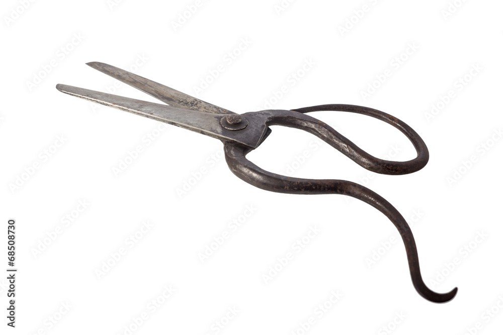 tailor scissors tailor scissors