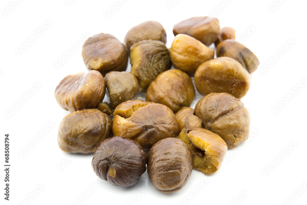 Chestnut Chestnut